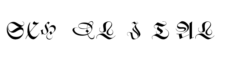 SchneidlerInitialen Font