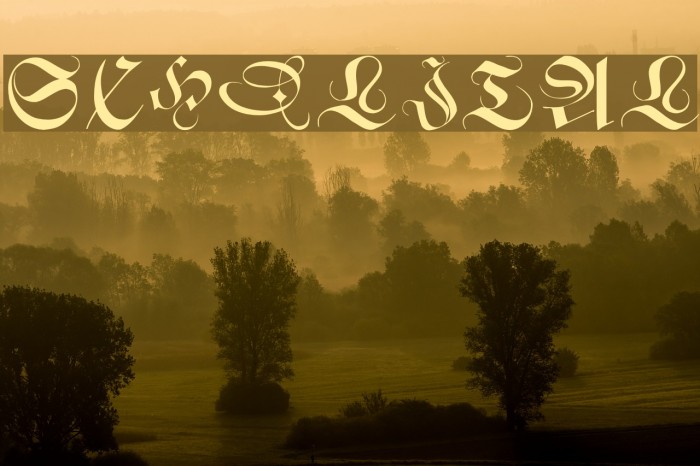 SchneidlerInitialen Font examples