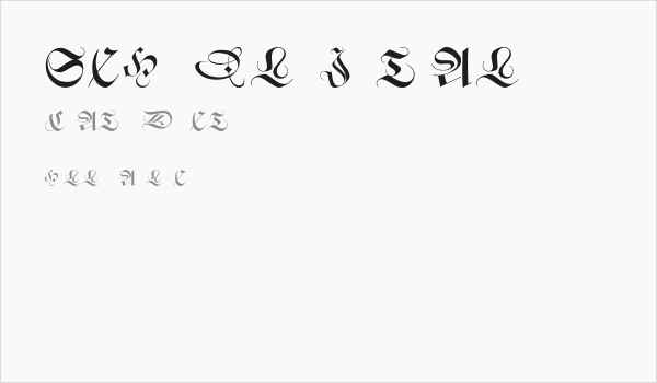 SchneidlerInitialen Business Card