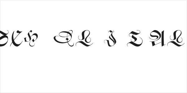 SchneidlerInitialen Logo