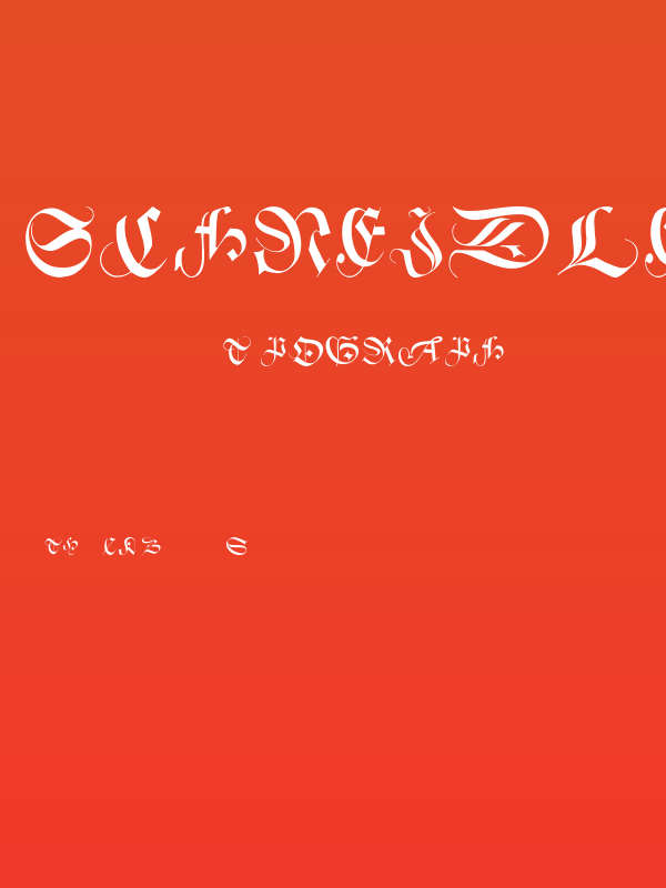 SchneidlerInitialen Poster