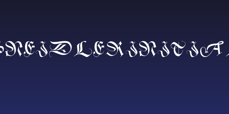 SchneidlerInitialen Social Header