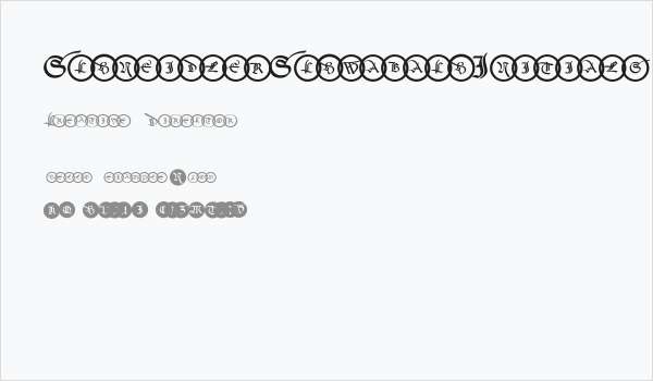 SchneidlerSchwabachInitials Business Card