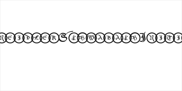 SchneidlerSchwabachInitials Logo