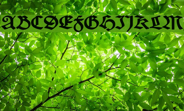 SchneidlerSchwabacher Font examples