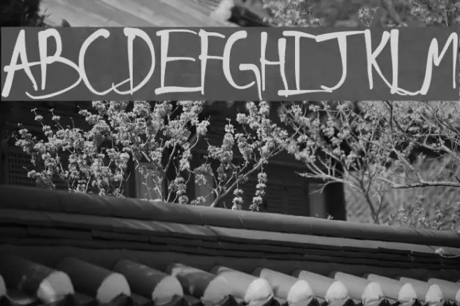 Schneller Font examples