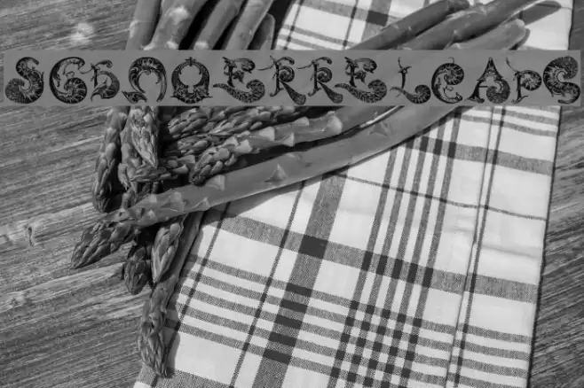 SchnoerkelCaps Font examples