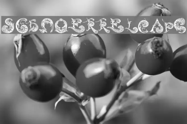 SchnoerkelCaps Font examples