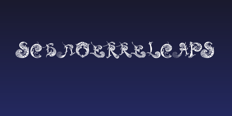 SchnoerkelCaps Social Header