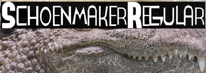 SchoenmakerRegular Example 3