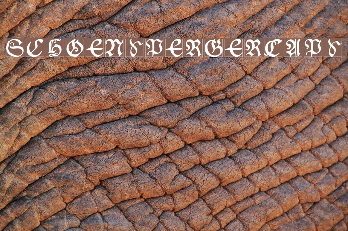 SchoenspergerCaps Font examples