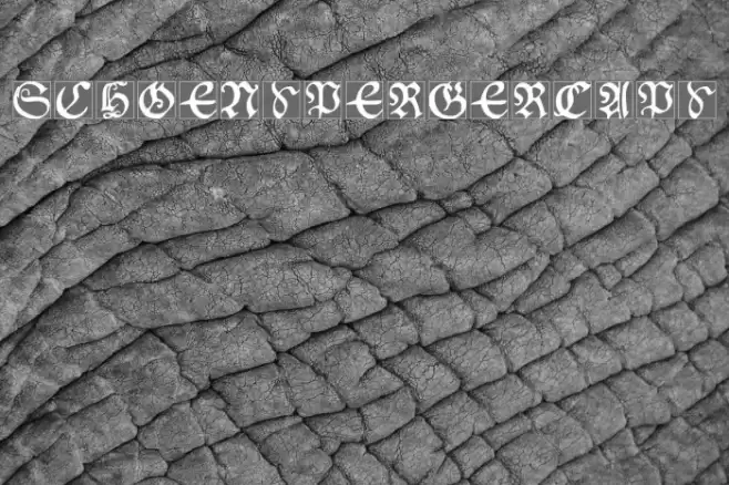 SchoenspergerCaps Font examples