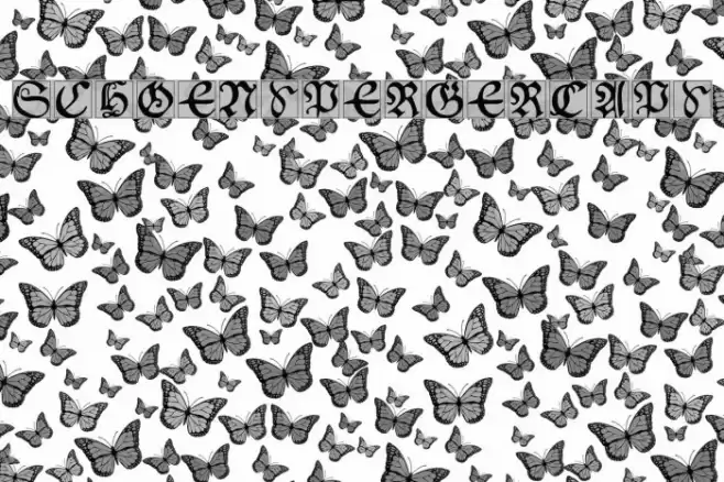SchoenspergerCaps Font examples