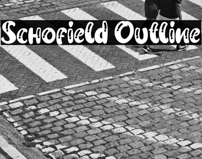 Schofield Outline Example 1