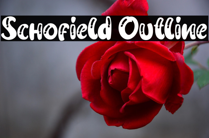 Schofield Outline Example 2