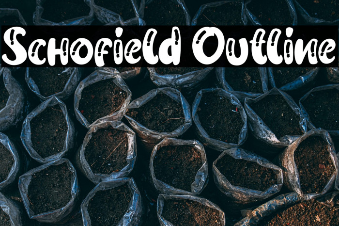 Schofield Outline Example 3