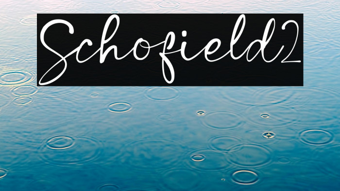 Schofield2 Example 1