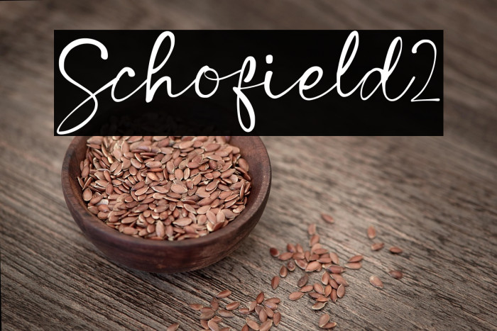 Schofield2 Example 2