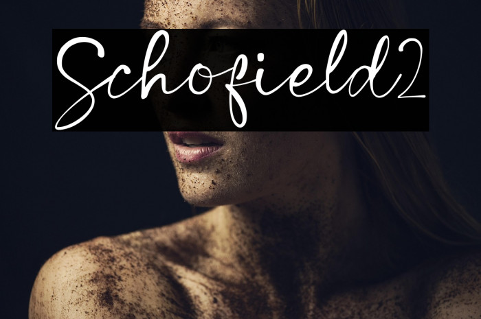 Schofield2 Example 3