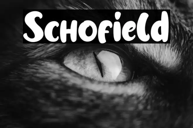 Schofield Font examples