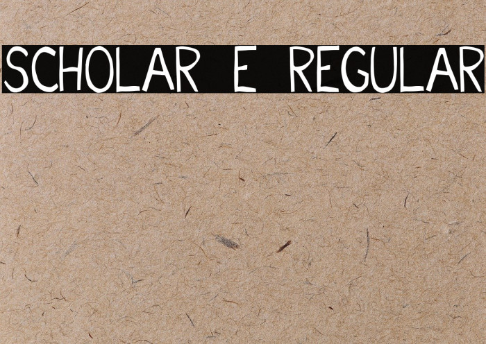 Scholar E Regular Font examples