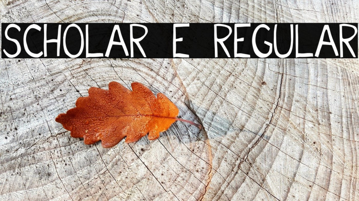 Scholar E Regular Font examples