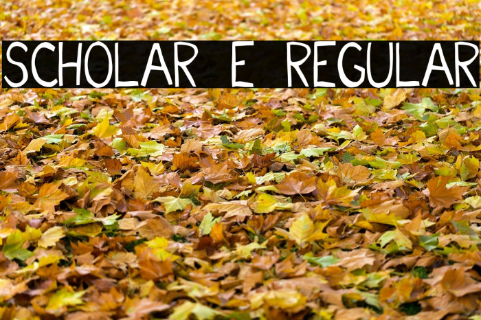 Scholar E Regular Font examples