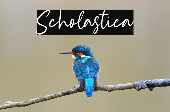 Scholastica Example 3