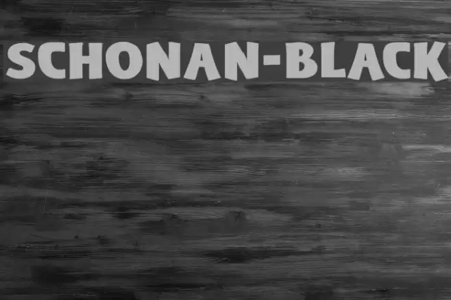 Schonan-Black Font examples