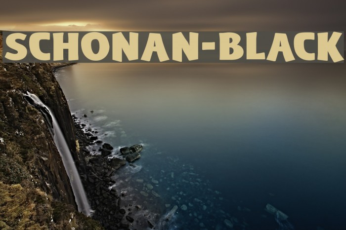 Schonan-Black Font examples