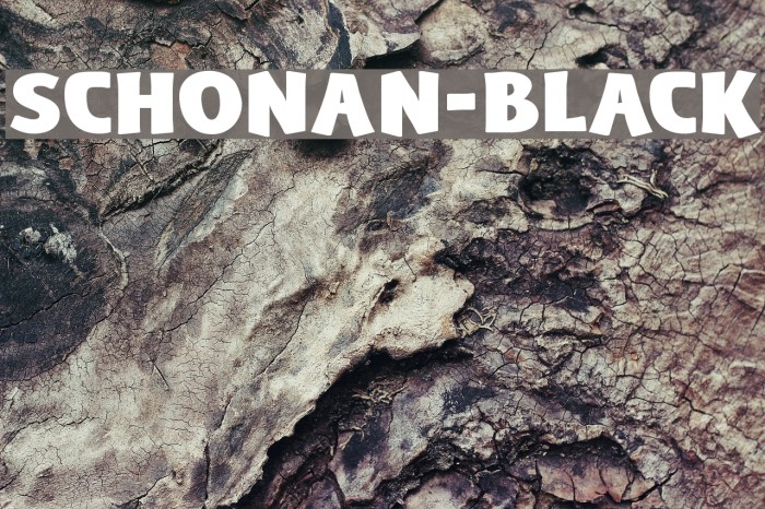 Schonan-Black Font examples