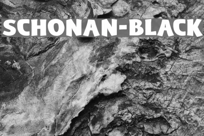 Schonan-Black Font examples