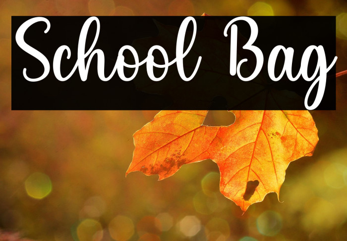 School Bag Example 1