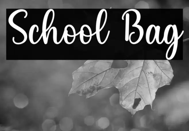 School Bag Fonte examples