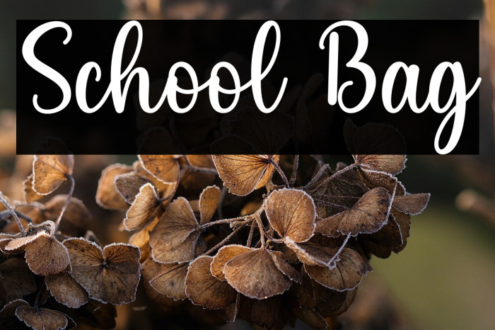 School Bag Example 2