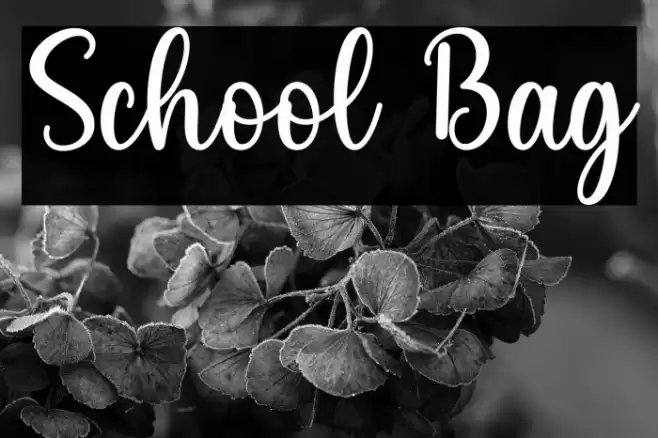 School Bag Fonte examples