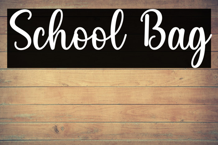 School Bag Example 3