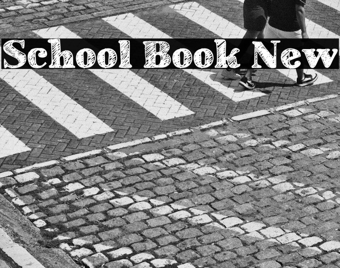 School Book New Example 1