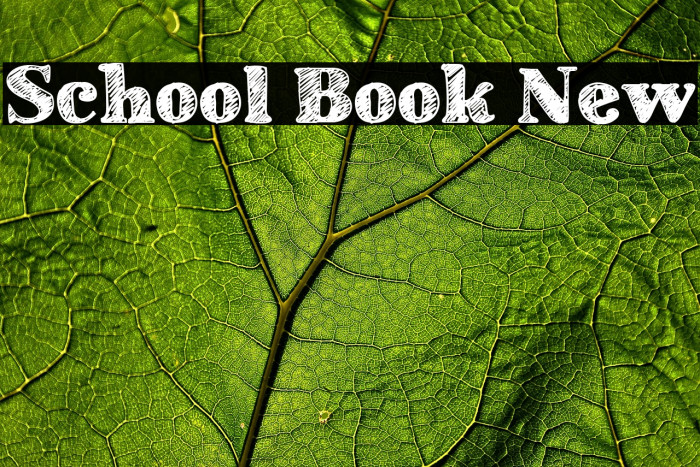 School Book New Example 3