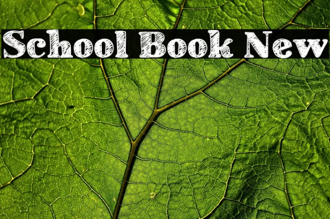 School Book New Example 3
