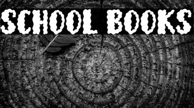 School Books Font examples