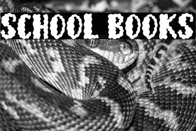 School Books Font examples