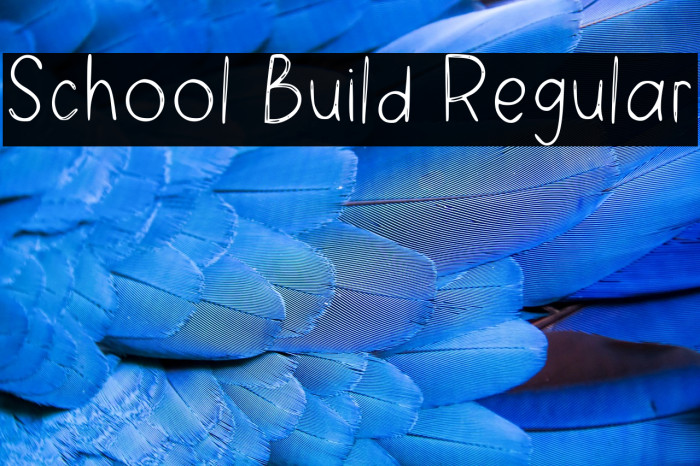 School Build Regular Example 1