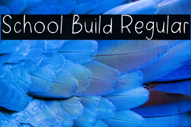 School Build Regular Example 1