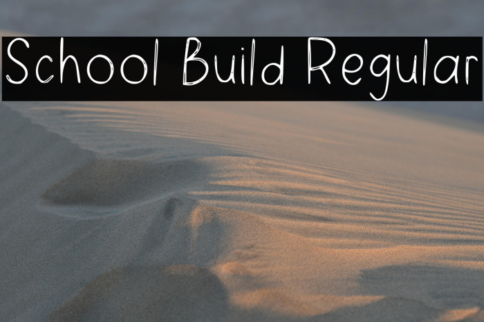 School Build Regular Example 2