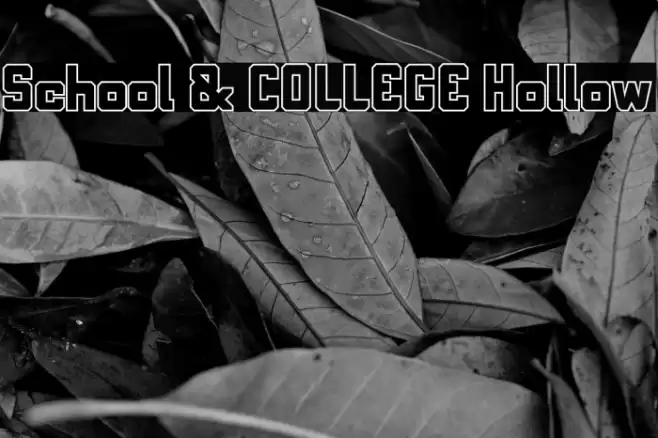 School & COLLEGE Hollow Font examples