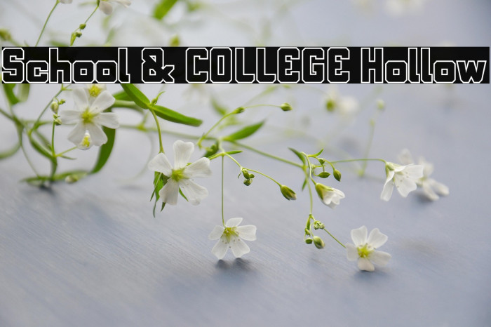 School & COLLEGE Hollow Example 3