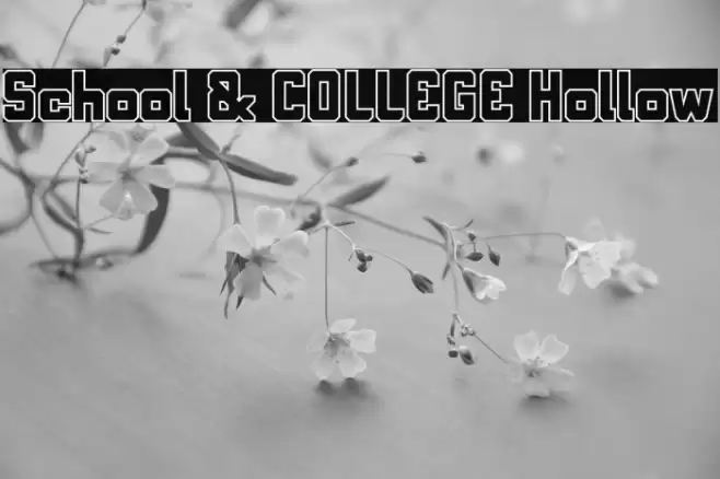 School & COLLEGE Hollow Font examples