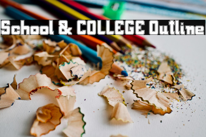 School & COLLEGE Outline Example 1