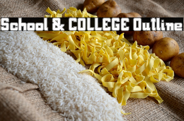 School & COLLEGE Outline Example 2